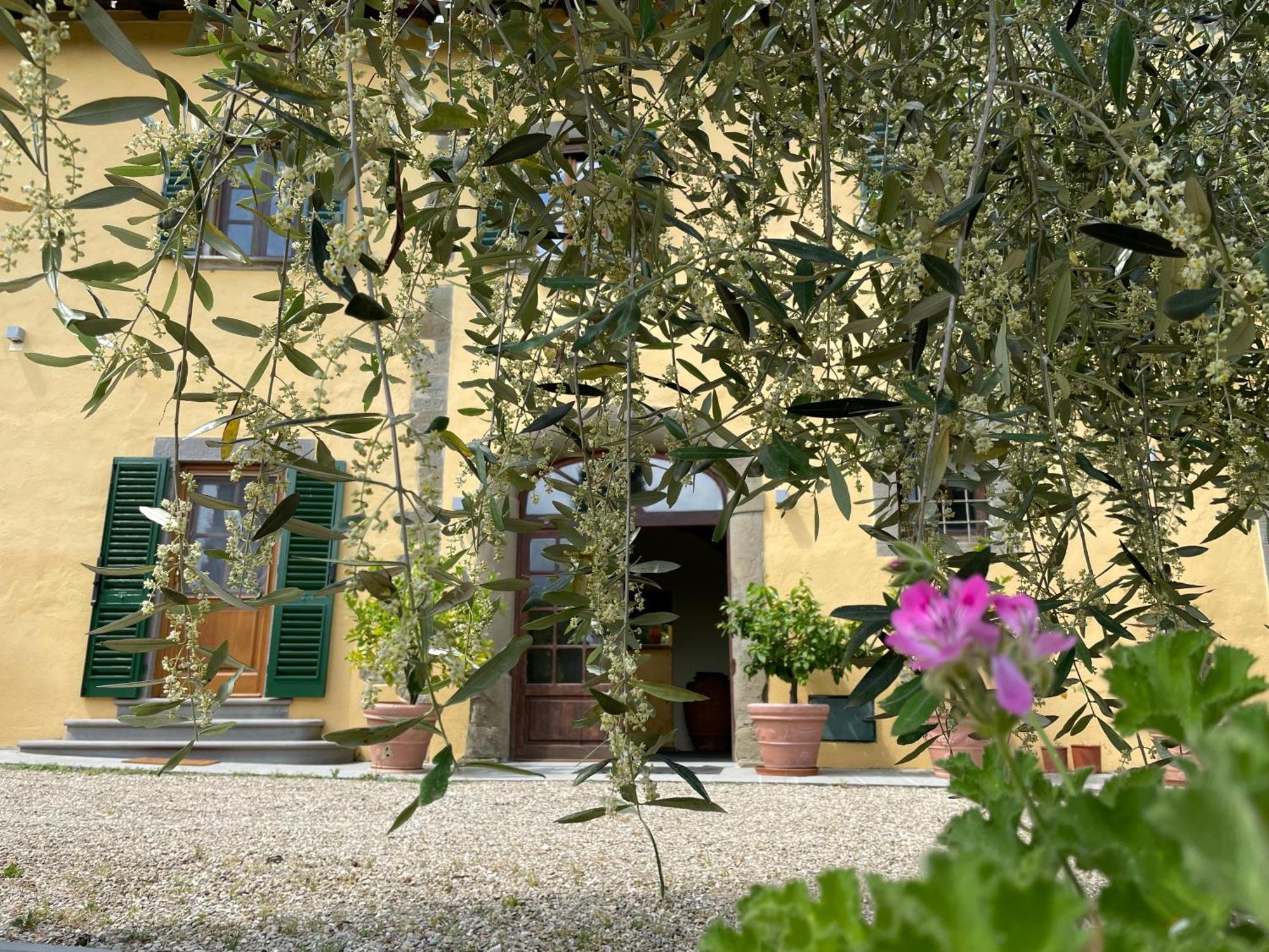 Rigacci Hotel Reggello